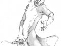 1186449962.blackteagan_commission-skifox2.jpg